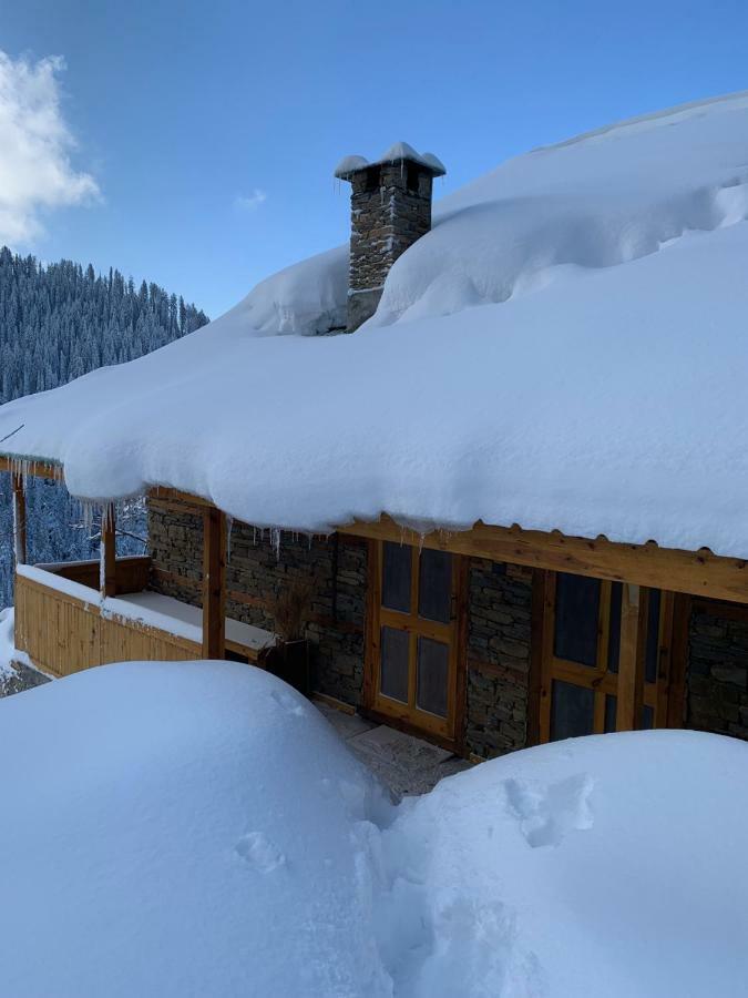 Skyline Villa Rental Narkanda Eksteriør billede