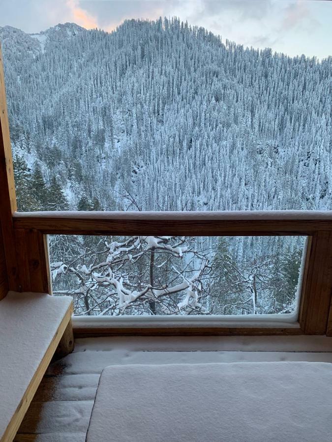 Skyline Villa Rental Narkanda Eksteriør billede
