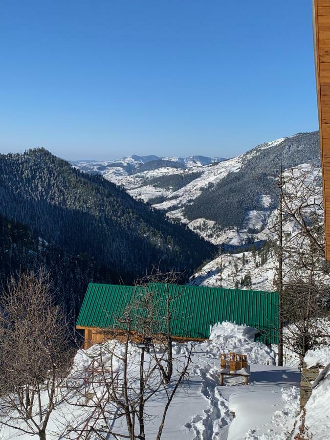 Skyline Villa Rental Narkanda Eksteriør billede